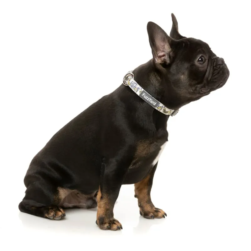 [15% OFF] Fuzzyard Go Bananas Dog Collar (3 Sizes)