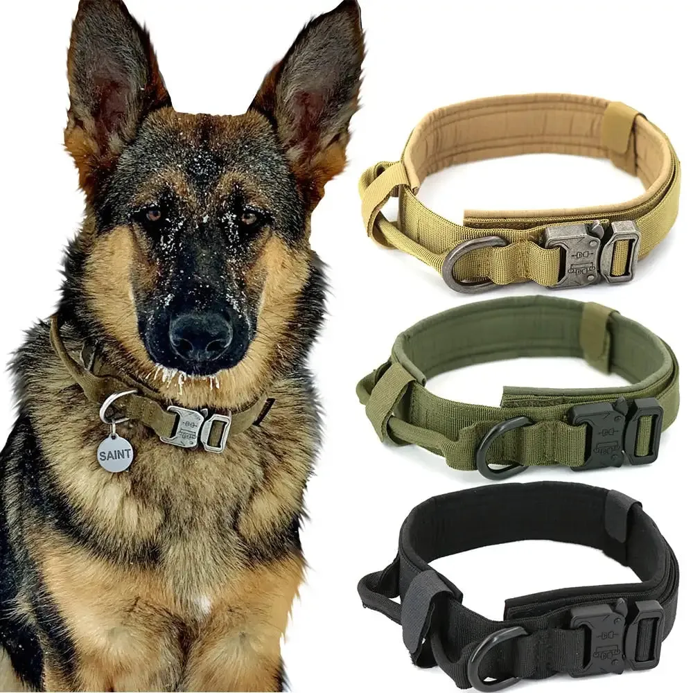 Adjustable & Durable Dogs Leash Collar Set