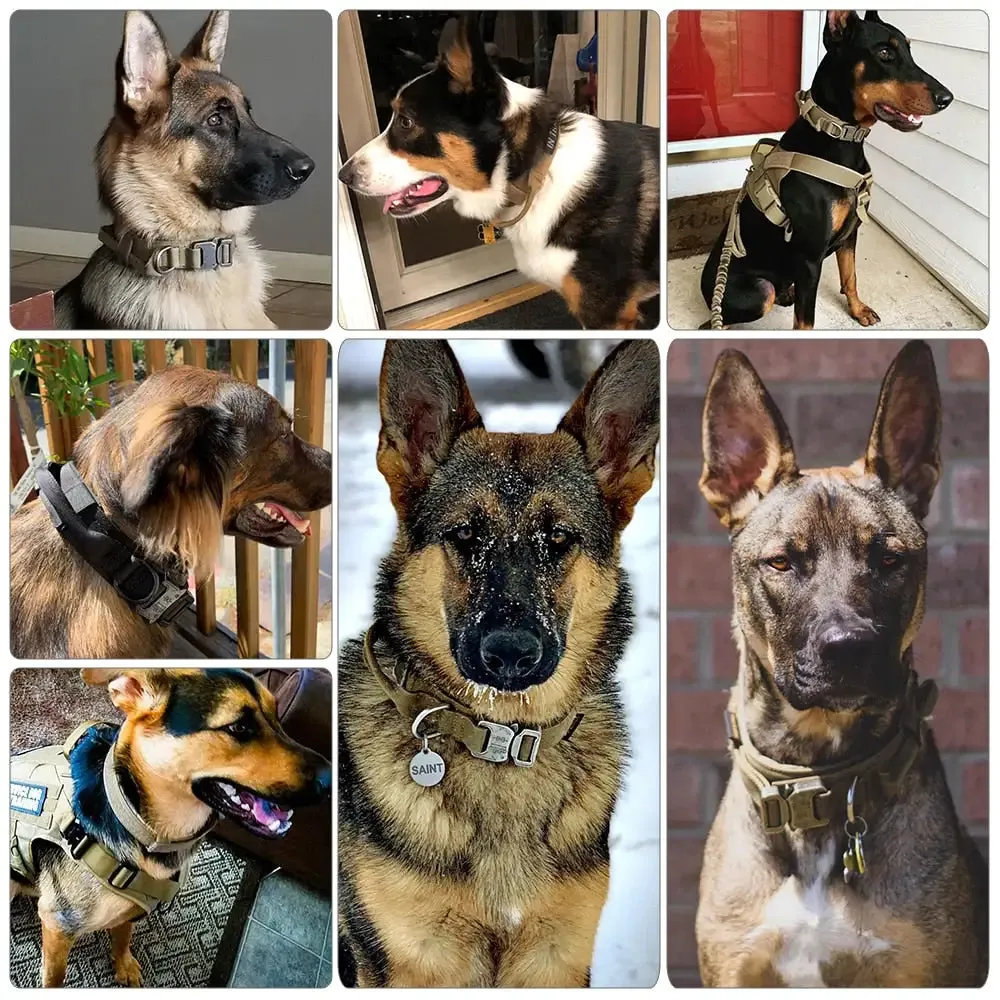 Adjustable & Durable Dogs Leash Collar Set
