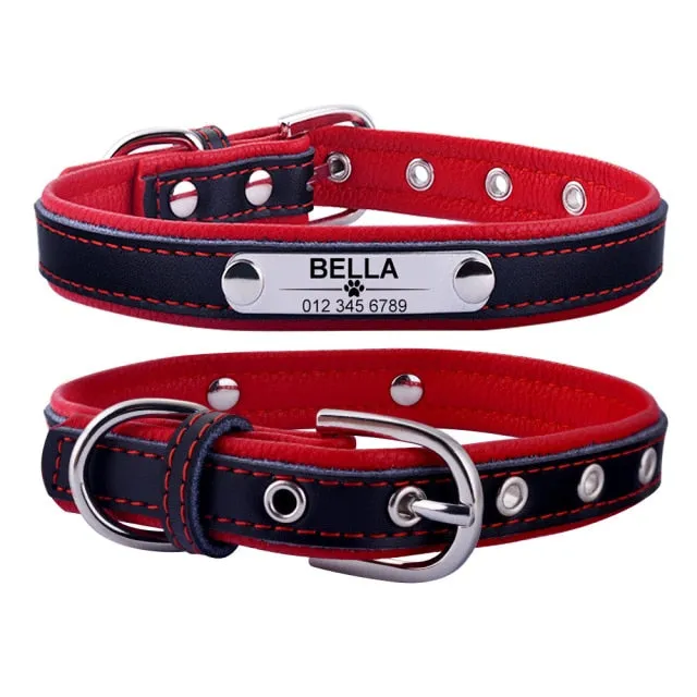 Adjustable Custom Engraved Leather Dog Collar - XS-L