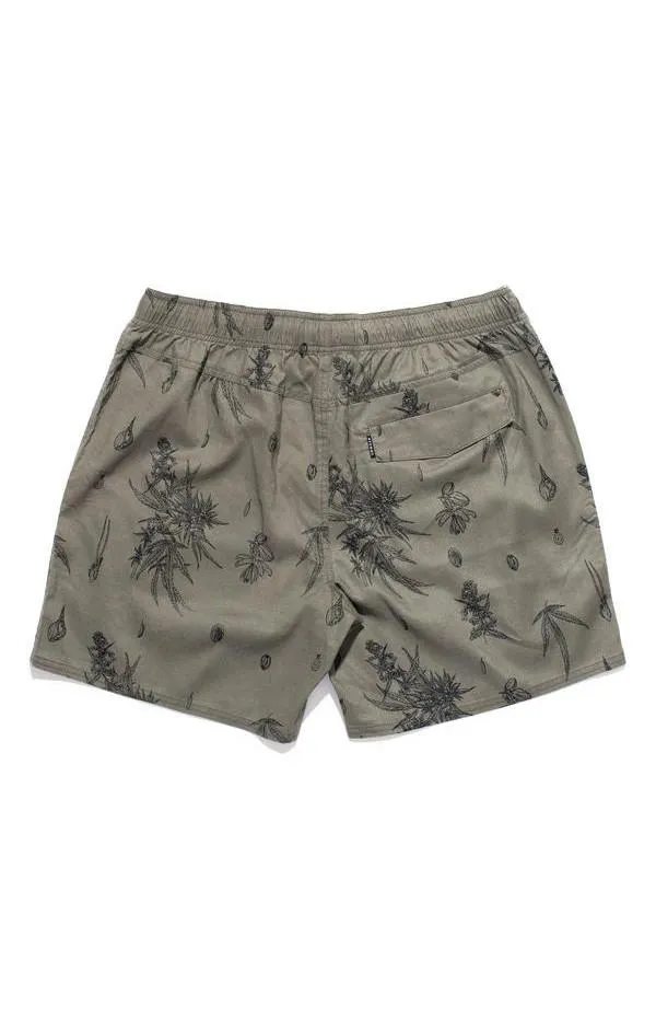 Afends Mens Baywatch - Hemp - Sativa - Swim Shorts