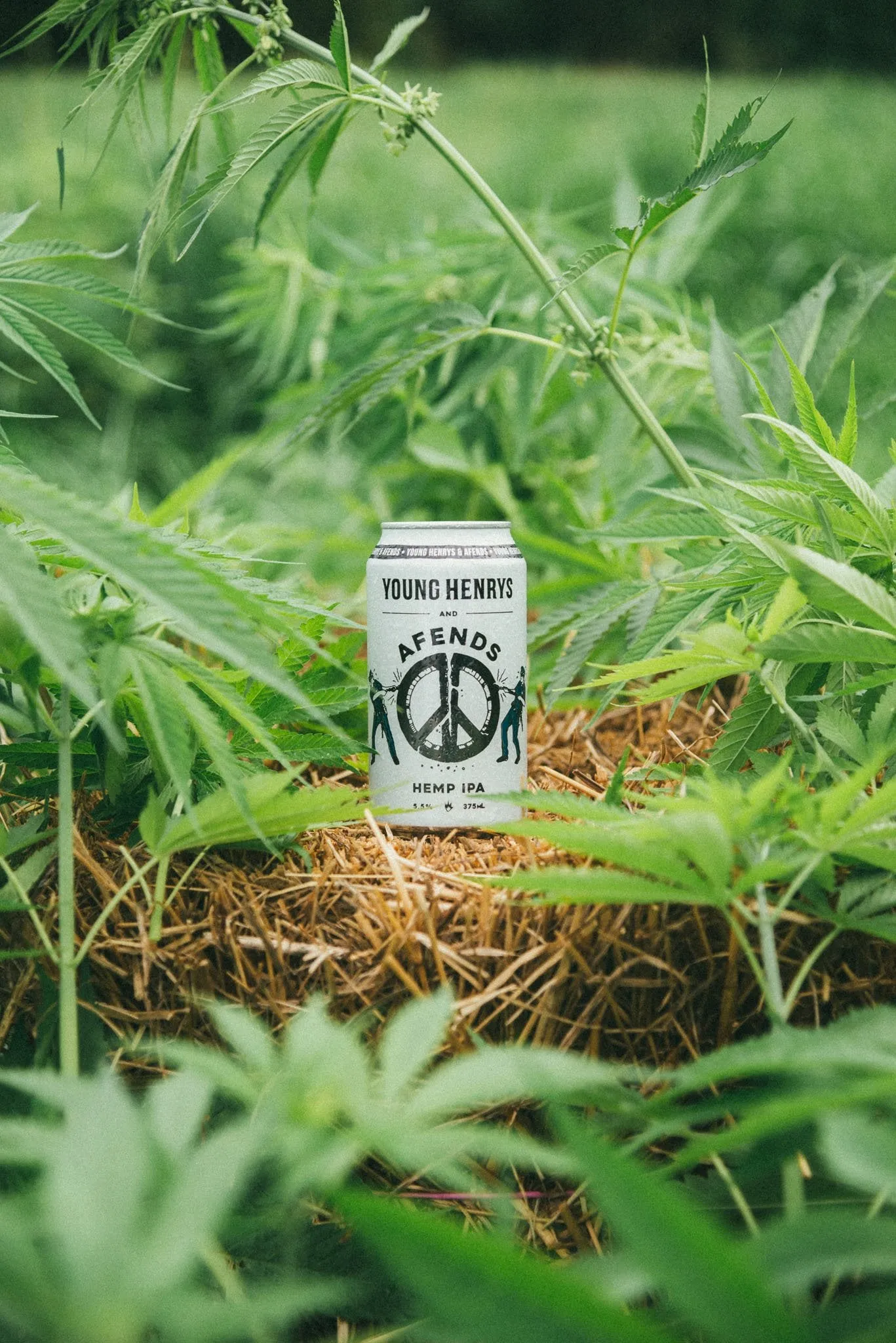 Afends Unisex Fun Police - Hemp Retro Fit Tee