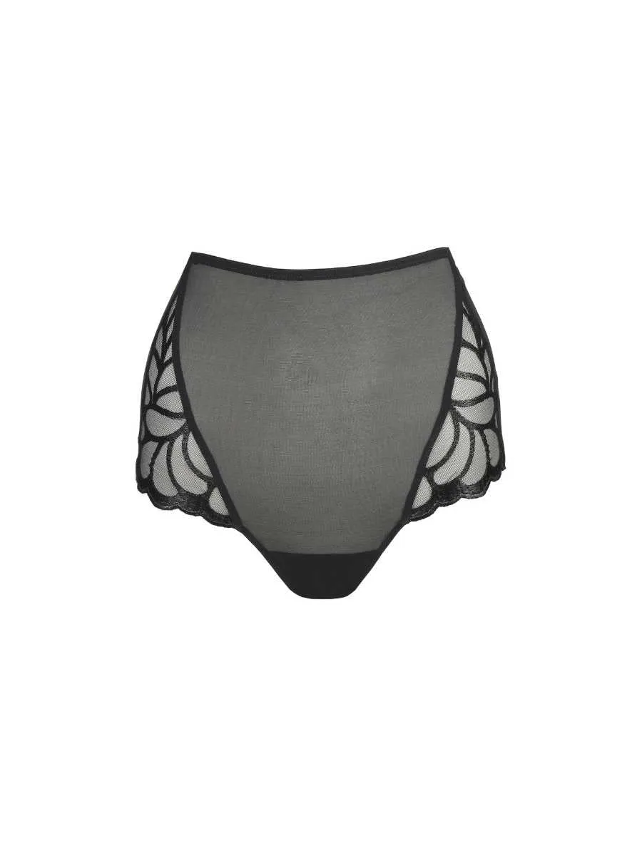 Aprodisia Full Brief