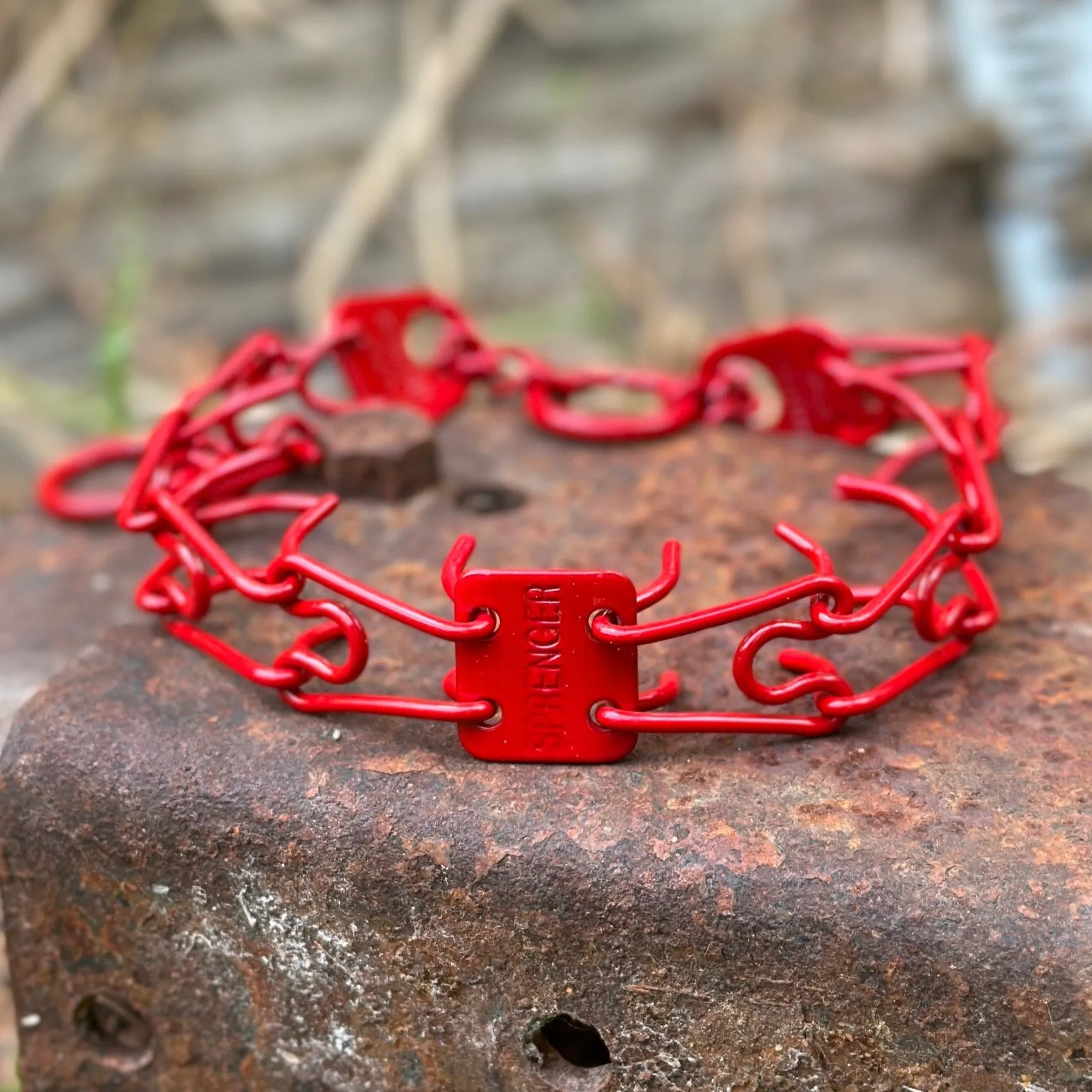 Astatic Red Custom Powder Coated Herm Sprenger Prong Collar for Dogs