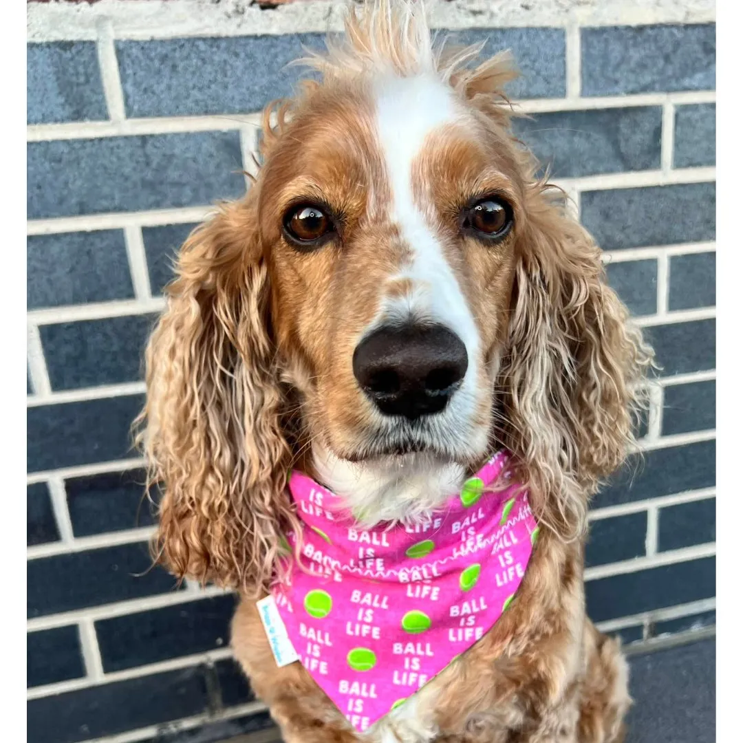 Ball is LIFE Pink Dog Bandana