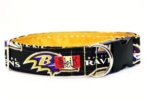 BALTIMORE RAVENS THEMED