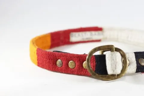 BEAST   BABE | Tiny Dino Slip Collar