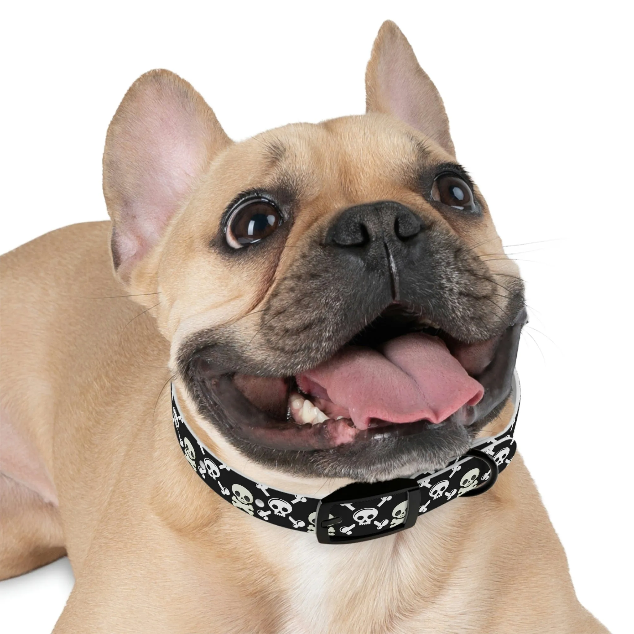 Black Skull & Crossbones Dog Collar 4 Buckle Colors