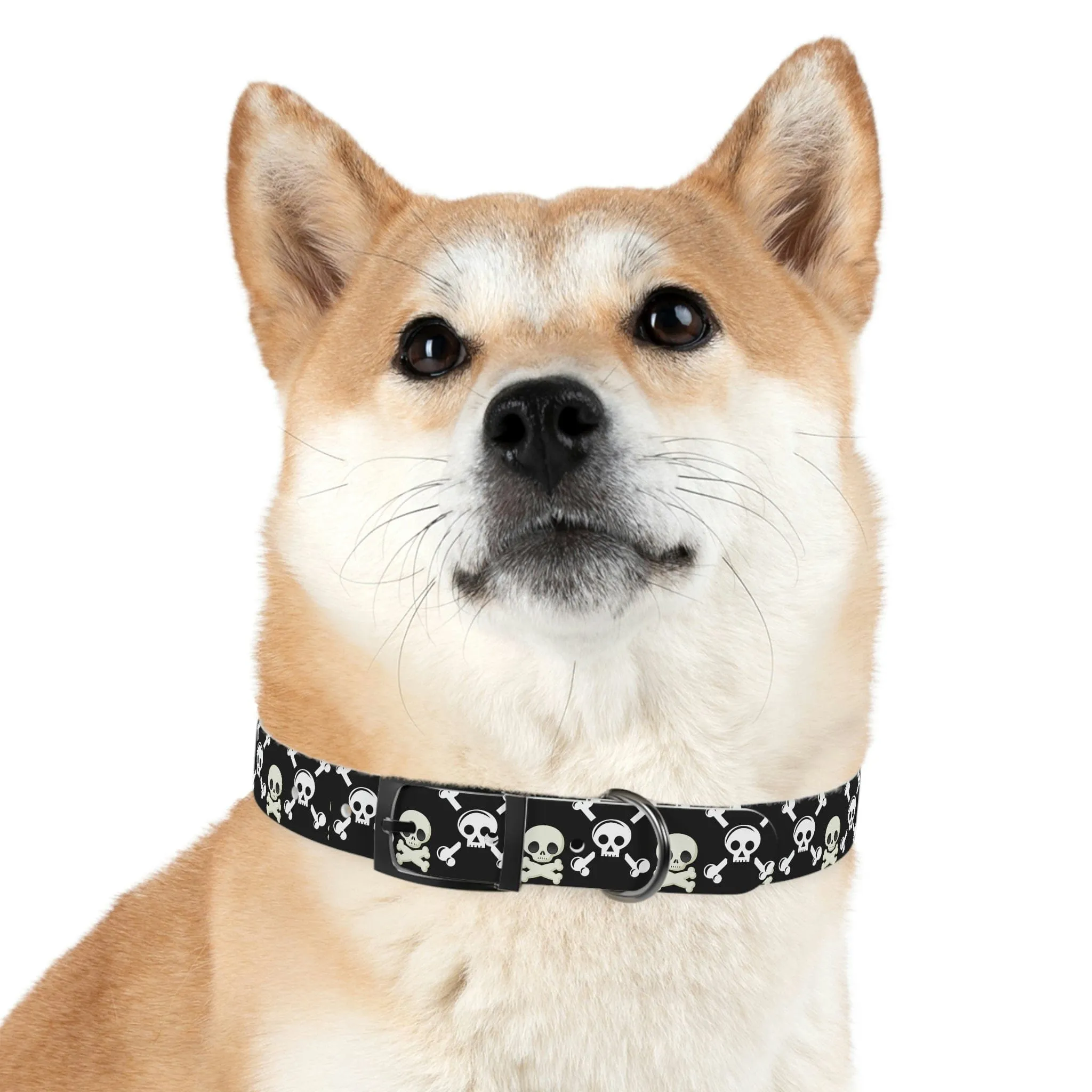 Black Skull & Crossbones Dog Collar 4 Buckle Colors