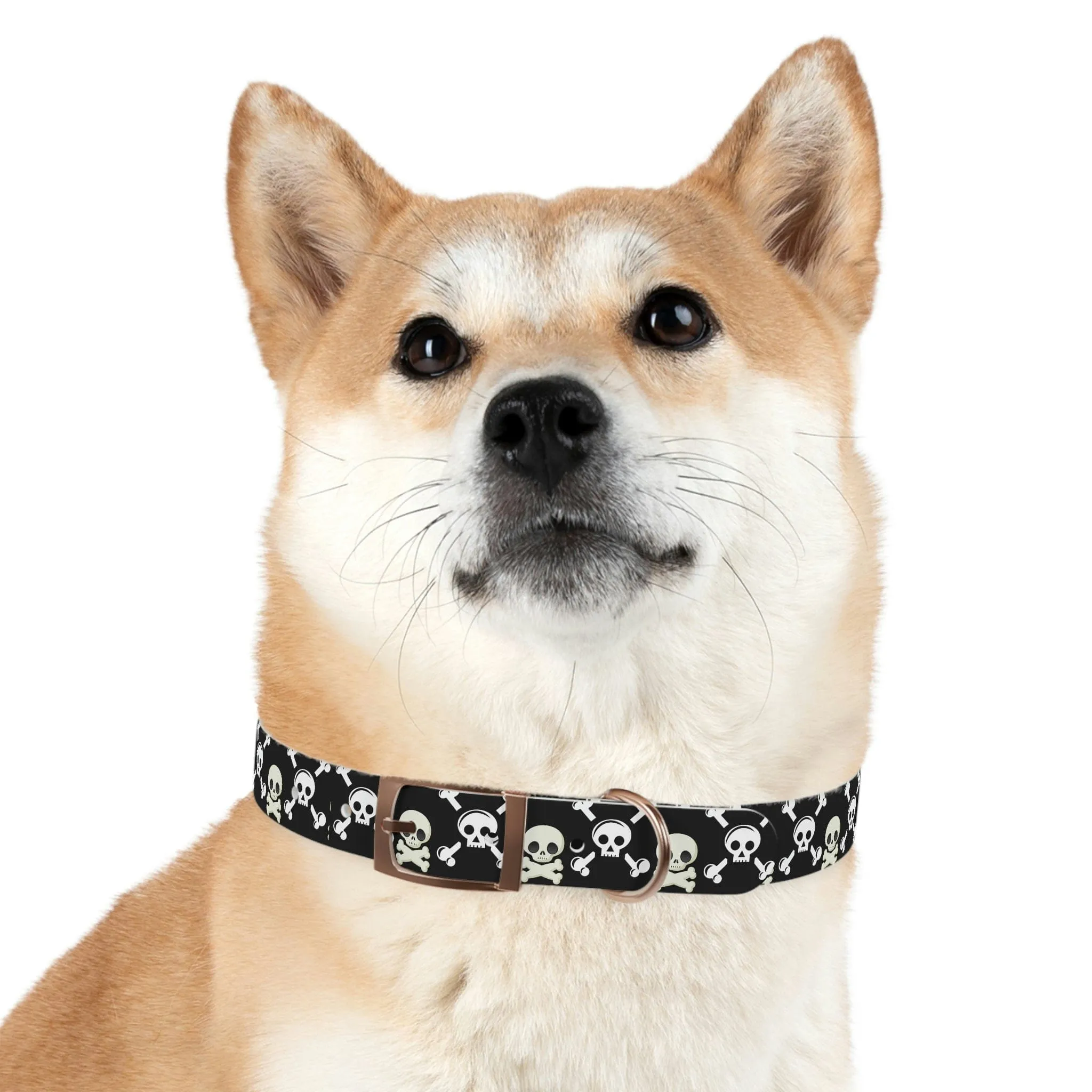 Black Skull & Crossbones Dog Collar 4 Buckle Colors