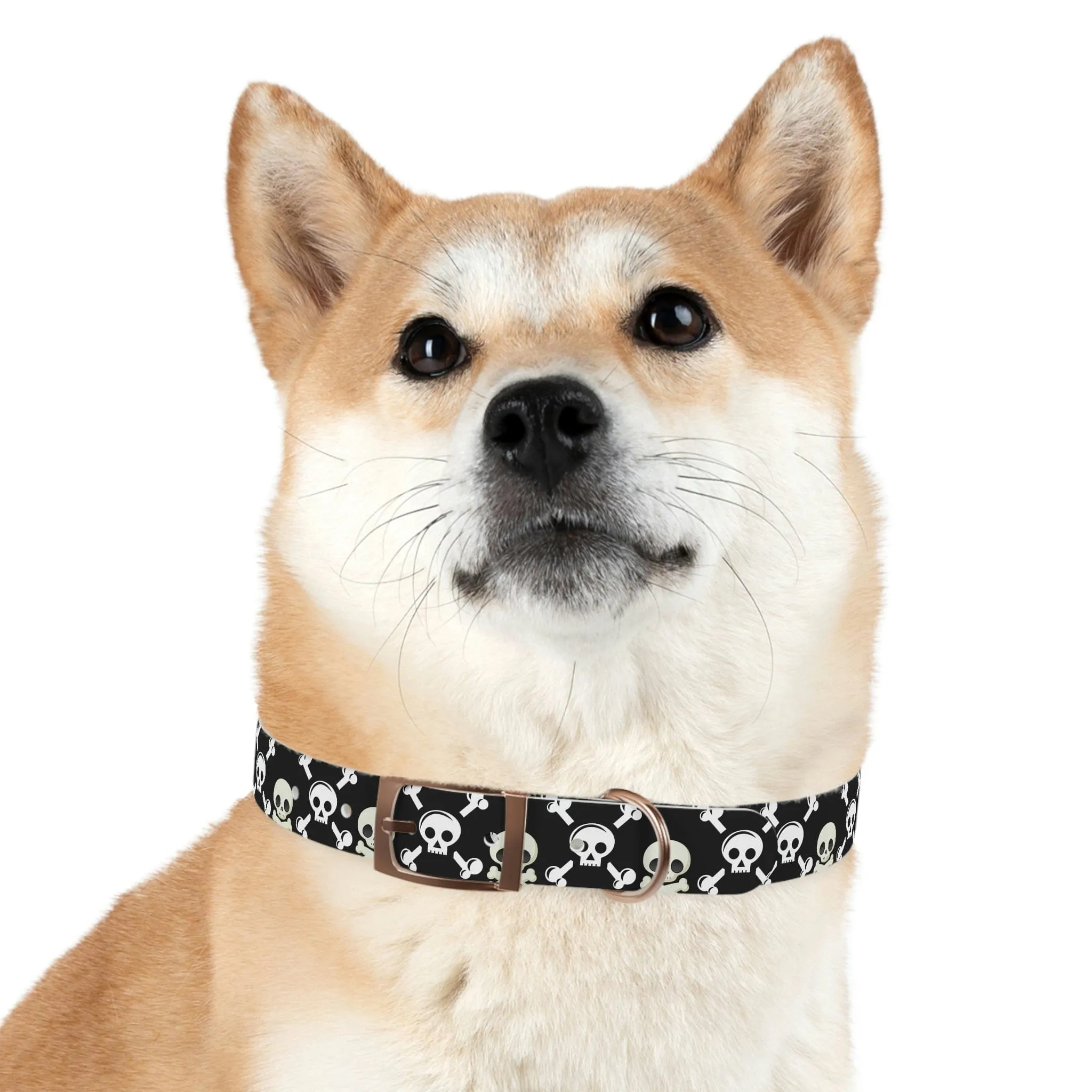 Black Skull & Crossbones Dog Collar 4 Buckle Colors