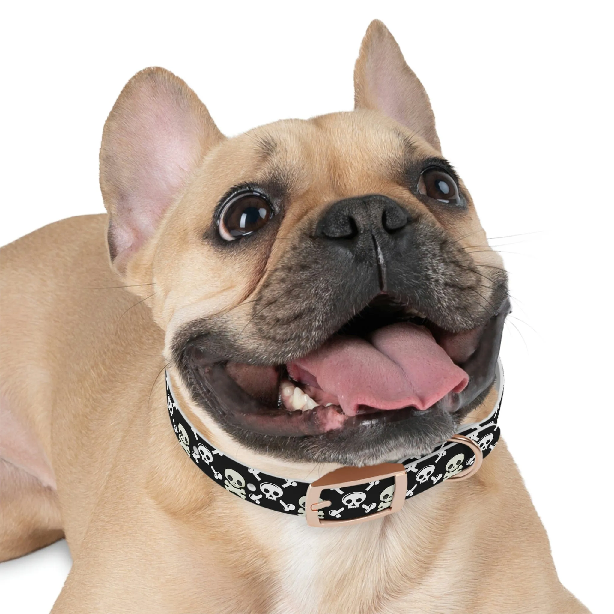 Black Skull & Crossbones Dog Collar 4 Buckle Colors