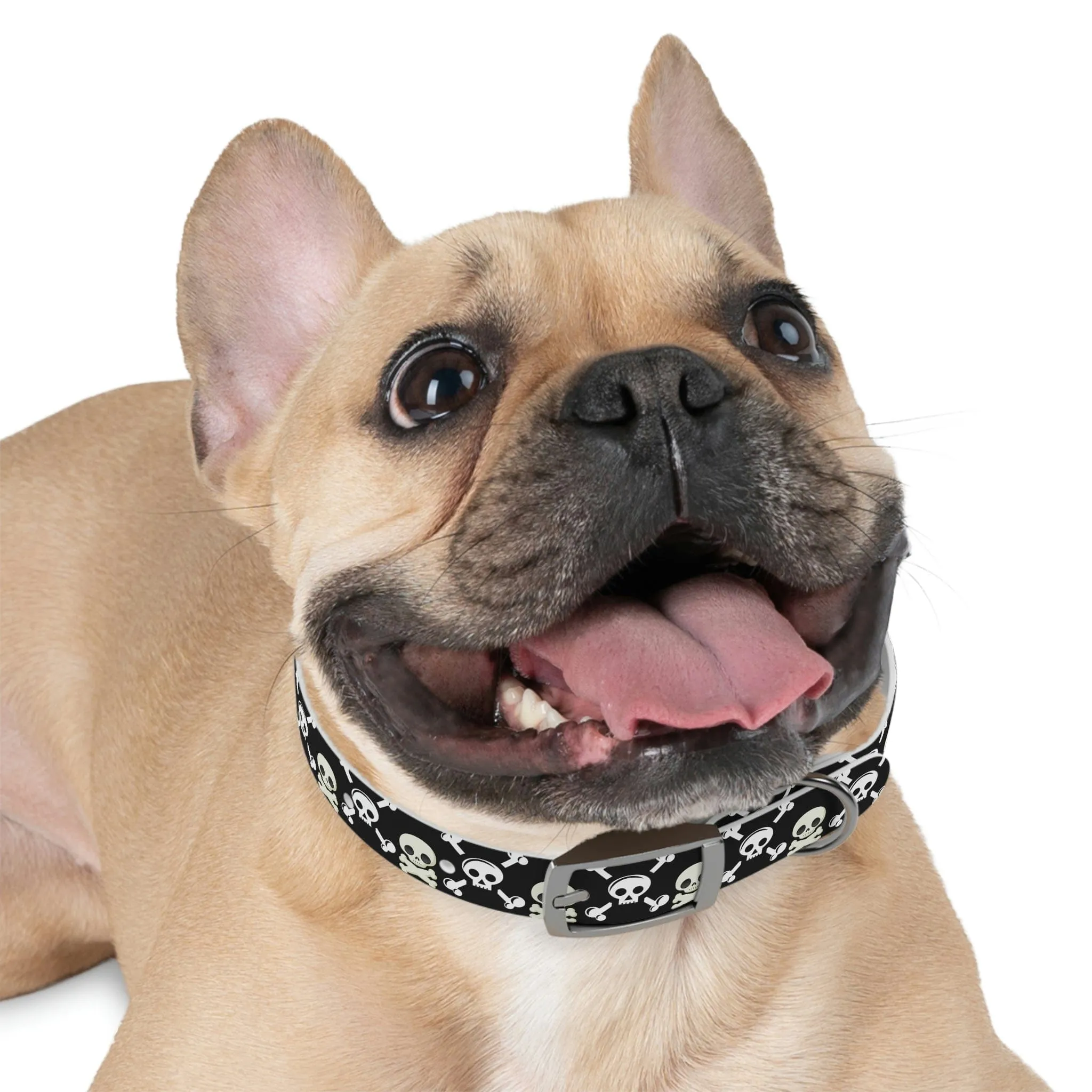 Black Skull & Crossbones Dog Collar 4 Buckle Colors