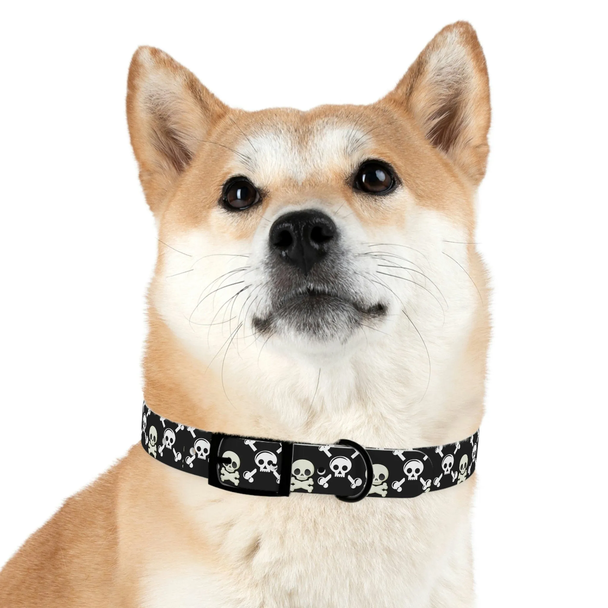 Black Skull & Crossbones Dog Collar 4 Buckle Colors