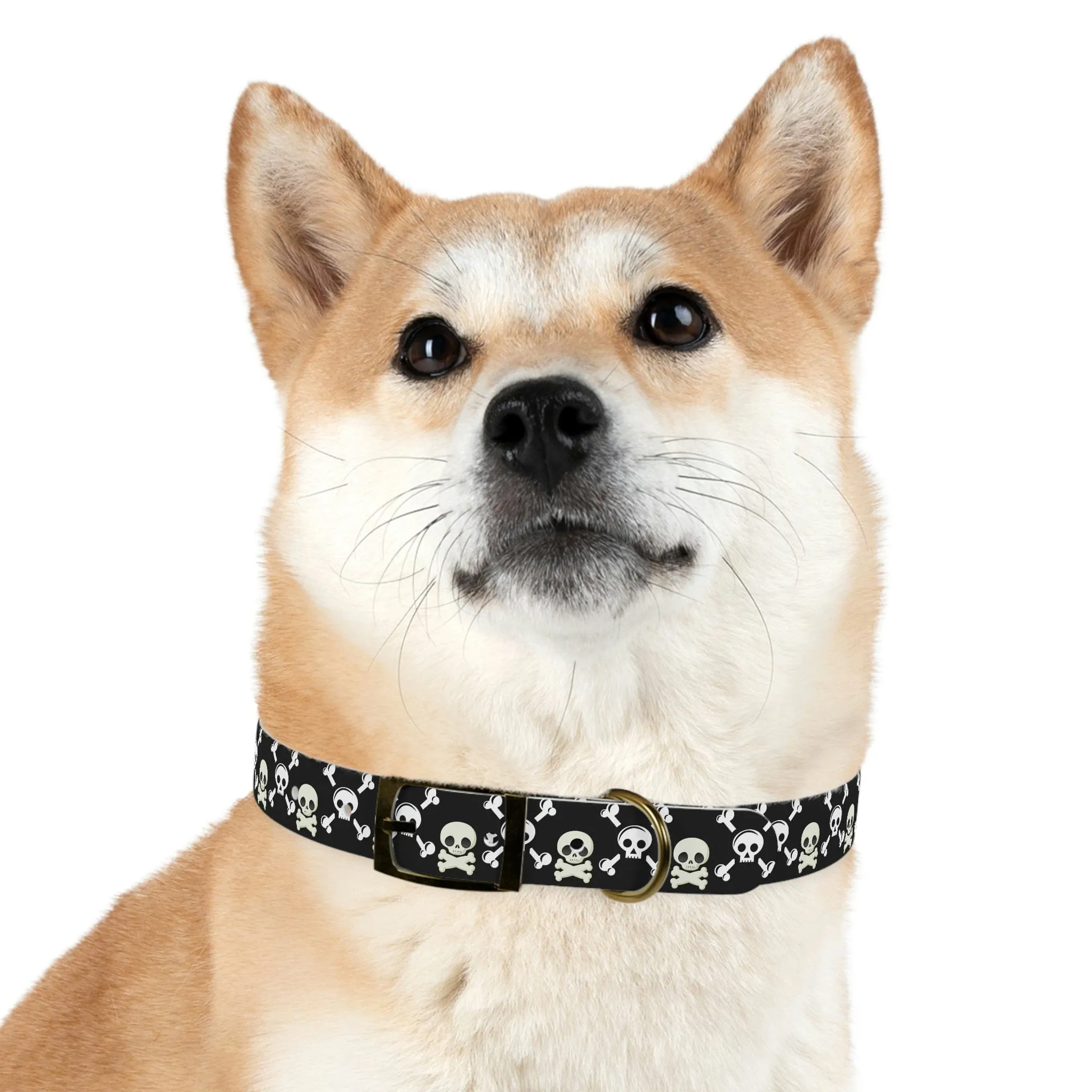 Black Skull & Crossbones Dog Collar 4 Buckle Colors