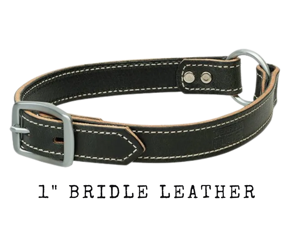 Bridle Leather Ring-In-Center Dog Collar