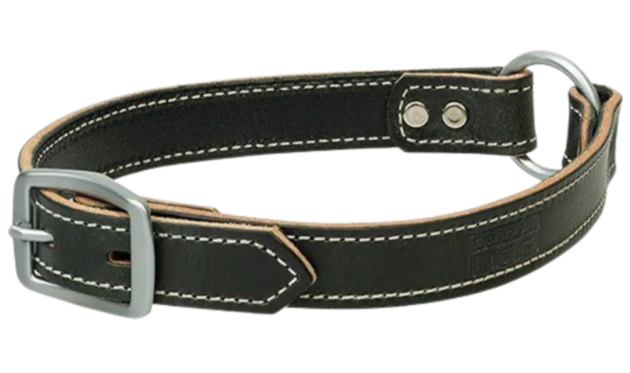 Bridle Leather Ring-In-Center Dog Collar