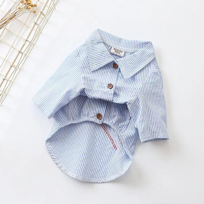 Club Gargon Red Embroid Stripe Spring Blue Dog Shirt