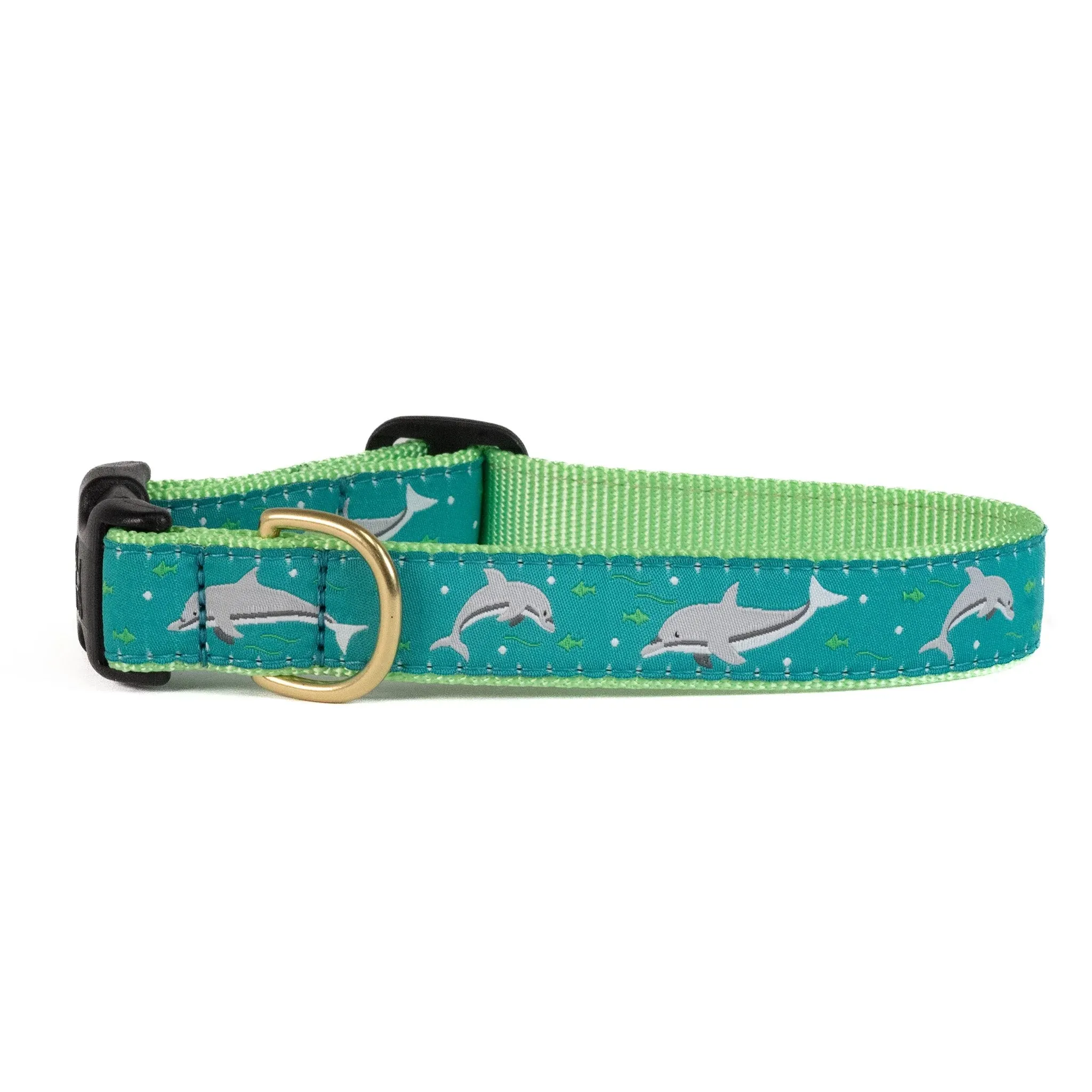 Collar | Dolphins