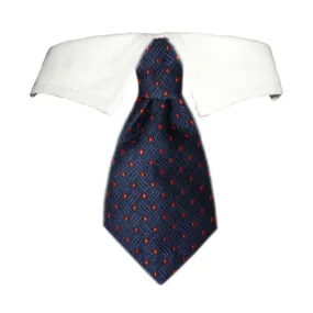 Colton Shirt Collar for your Pet