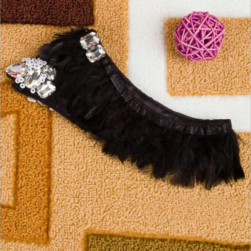 Dainty - Detachable Rhinestone Feather Collar