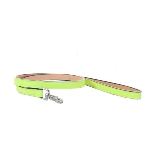 DL08 - Lime Green Leather Dog Leash