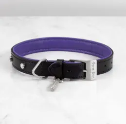 DOG COLLAR/SMALL