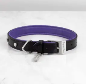 DOG COLLAR/SMALL