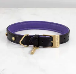 DOG COLLAR/SMALL