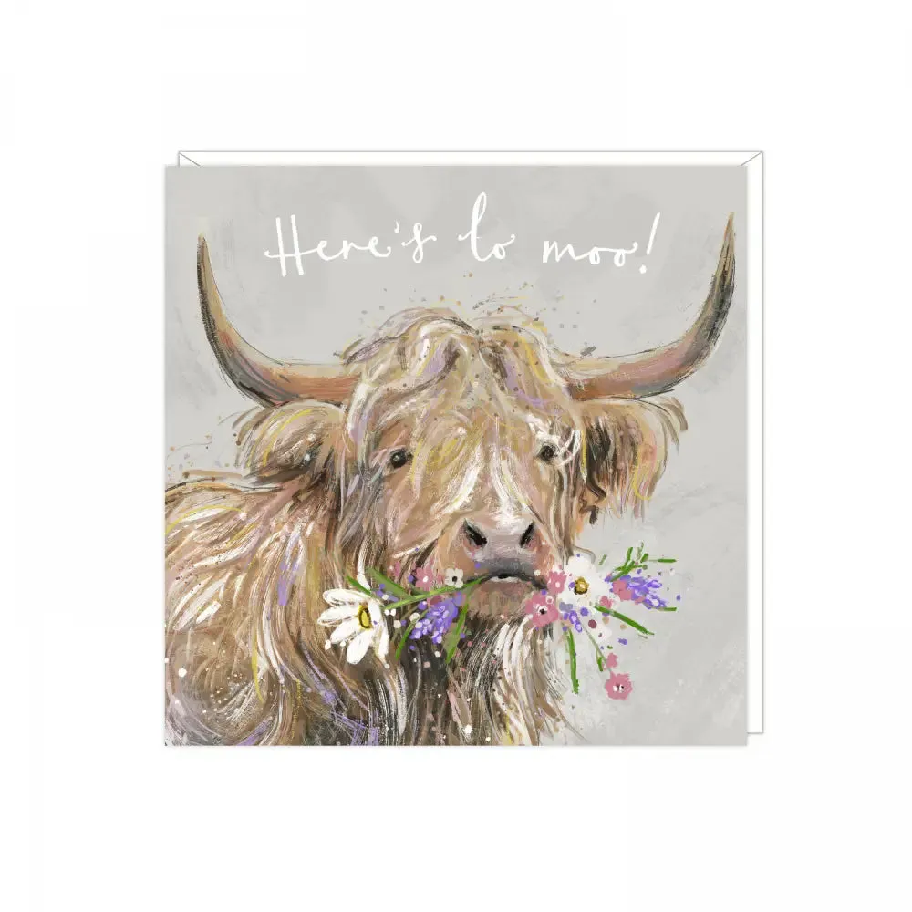 Greeting Card - Various Cards & Animal Designs