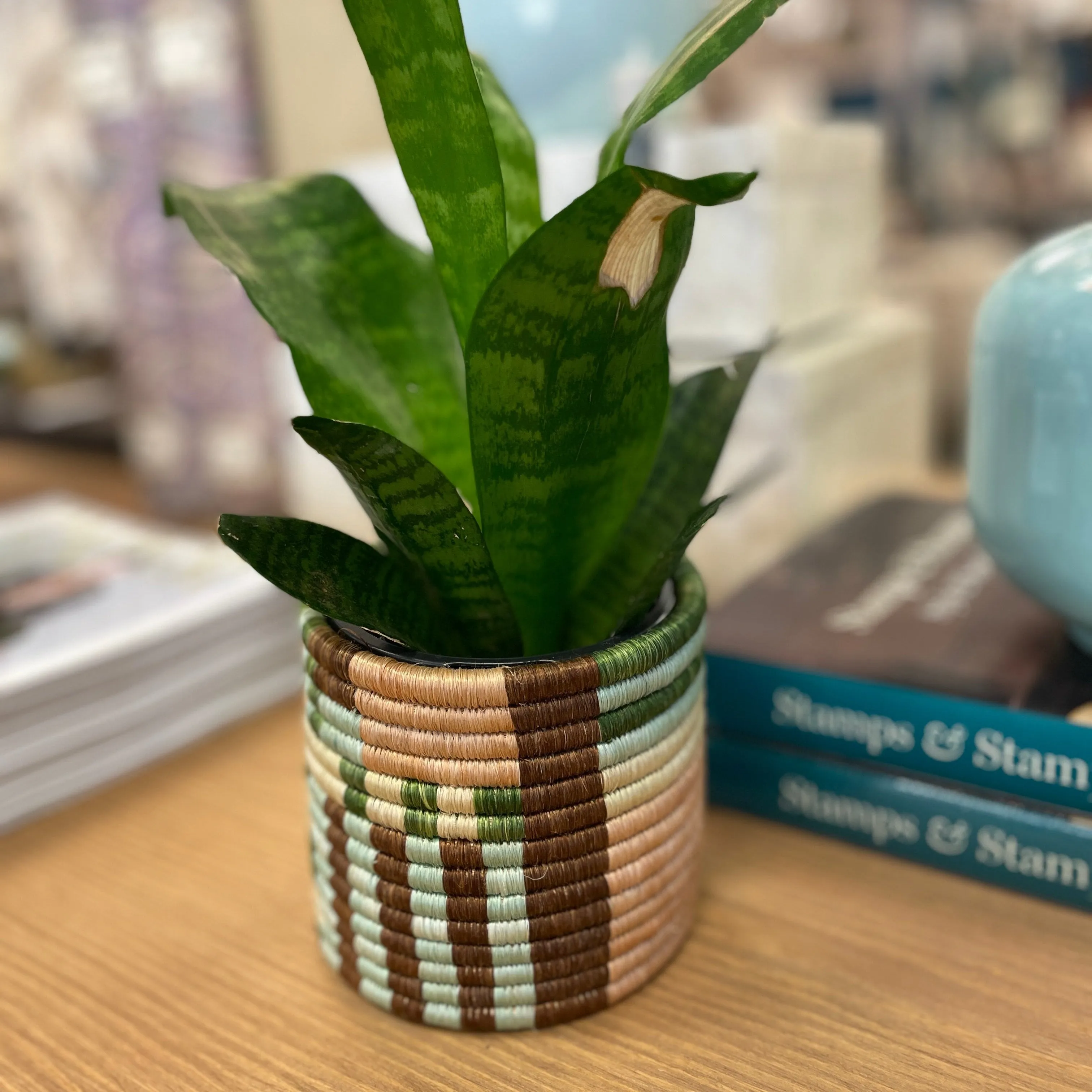 Handwoven Apricot & Seafoam Grass Planter