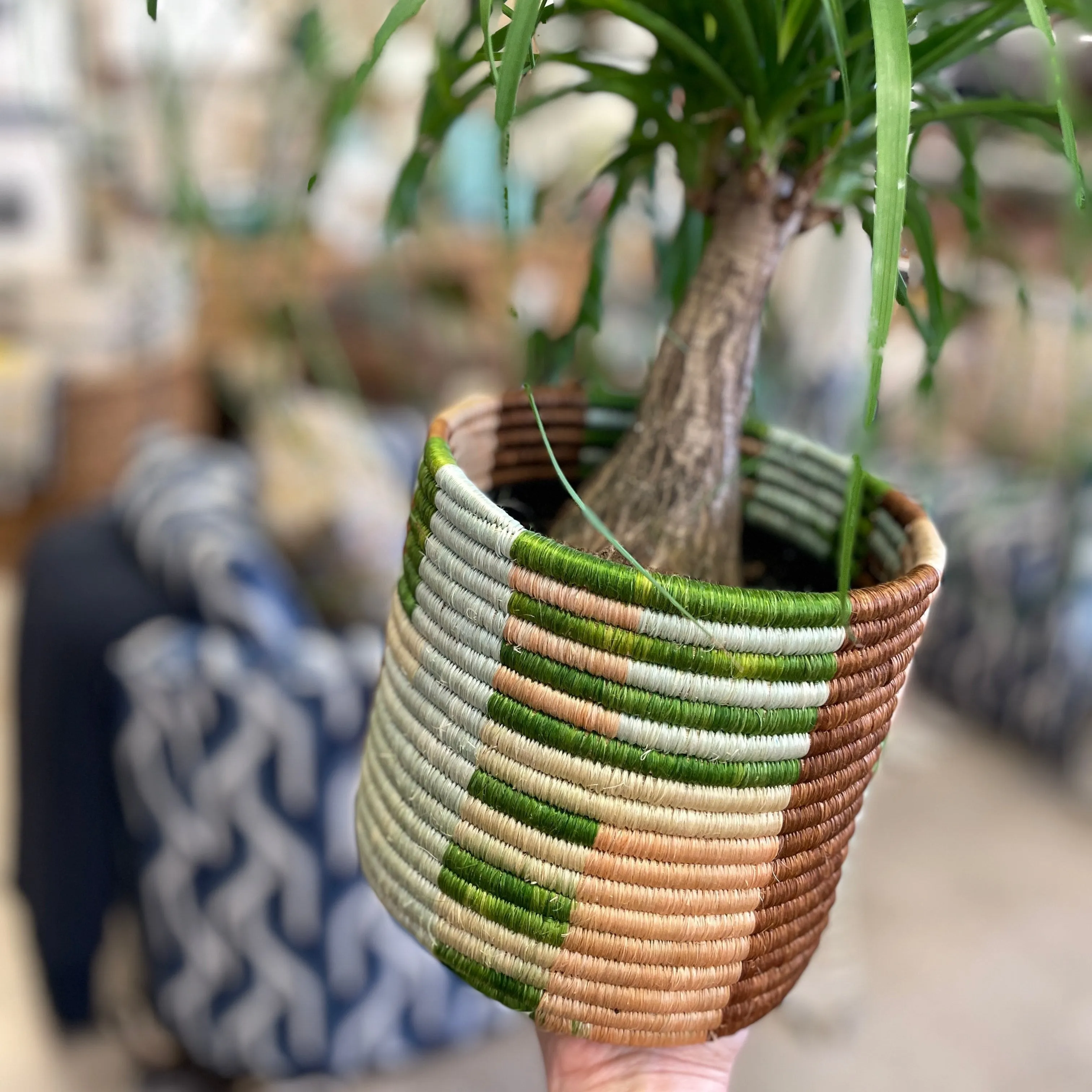 Handwoven Apricot & Seafoam Grass Planter