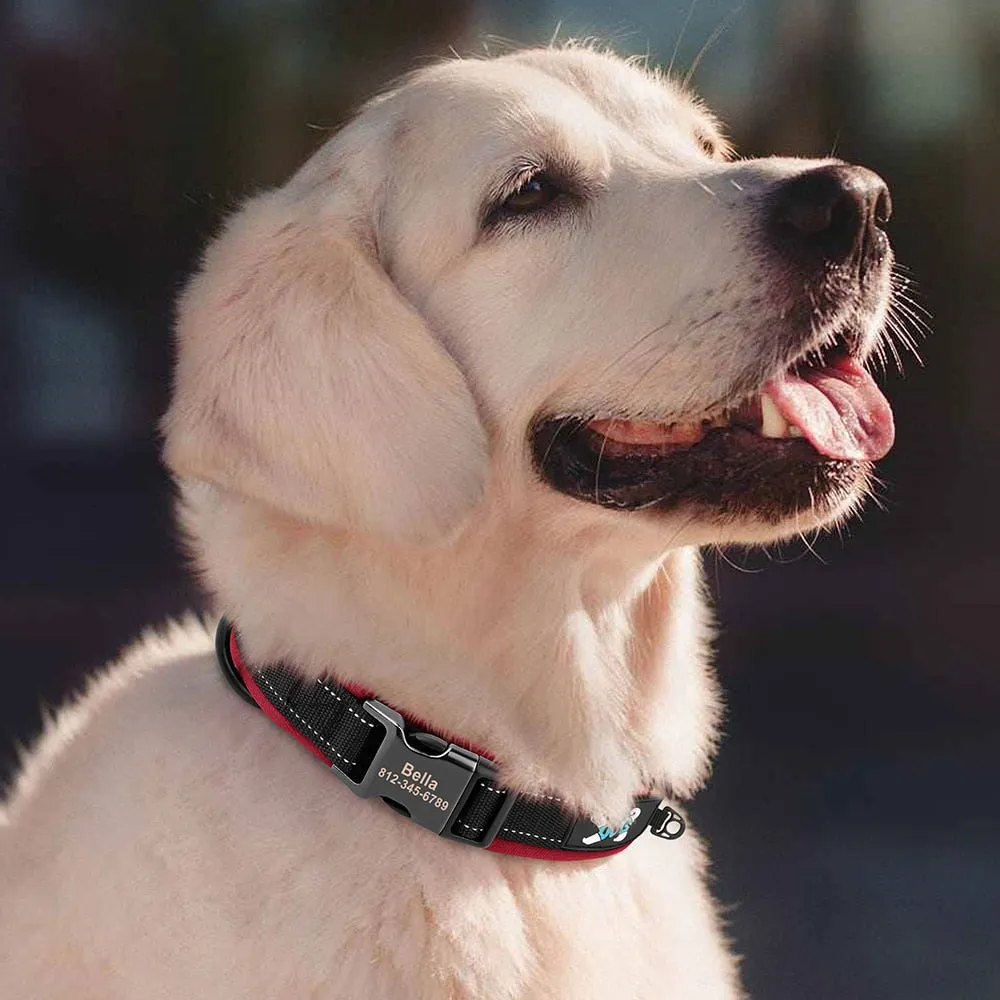 Reflective Personalized Dog Collar